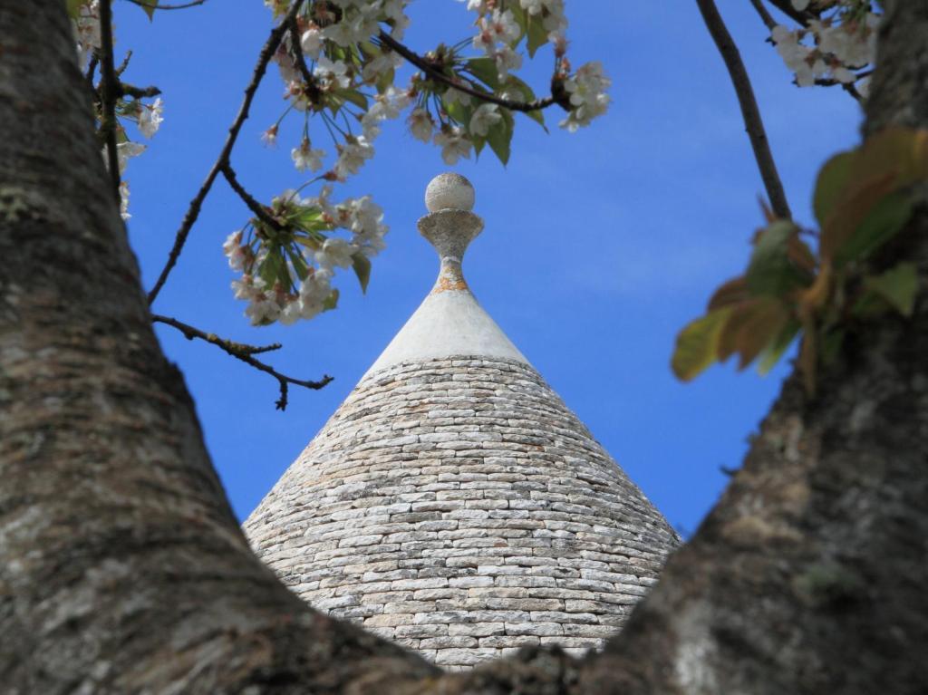 منزل الضيف ألبيروبيللو  في Pietraluce المظهر الخارجي الصورة